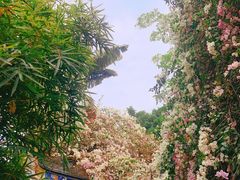 -深圳国际园林花卉博览园