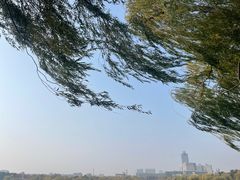 -长春市南湖公园