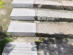 -仙岳公园