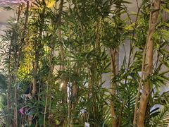 -施奈儿.洗头頭療.按摩SPA.采耳(上梅林店)