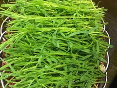 相思菜-民食香·腊排骨野生菌美食(木府店)