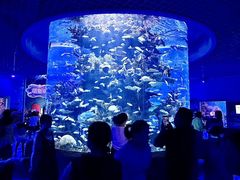 -多彩贵州城极地海洋世界