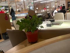 -滋奇·扬州地标火锅(兴城东路店)