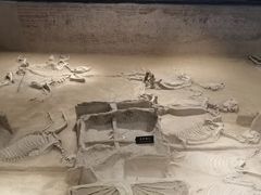 -洛阳周王城天子驾六博物馆