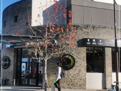 -Patagonia Chocolates(皇后镇店)