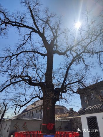 从停车场进村第1家就是1号院，离的非常近