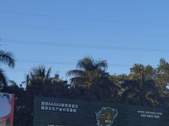 -呀诺达热带雨林