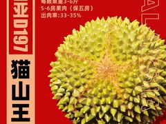 -开皇马来西亚榴莲美食店(华强北店)