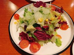 捷克农家沙拉-布拉格餐厅· 中欧捷克菜(全国首店)