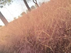 -汉长安城未央宫国家考古遗址公园