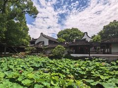 -上海醉白池公园