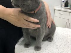 -佳雯宠物医院(金华南路分院)