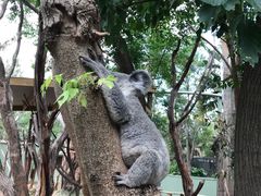 -费瑟代尔野生动物园