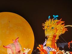 -琅岐红光湖公园