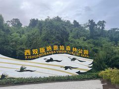 -西双版纳原始森林公园