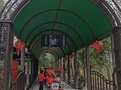 -合肥滨湖国家森林公园