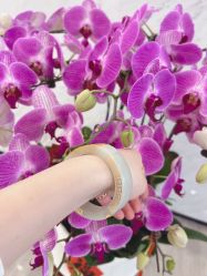 -烨麟黄金珠宝(和胤788广场一楼店)