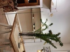 -MAISON门前杂货店