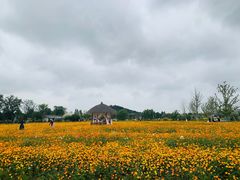 -径山花海