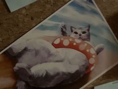 -白兔子密室(长寿路店)