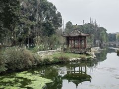 -温江公园