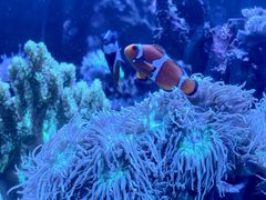 -杭州西湖银泰百货