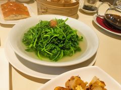 -利苑酒家(华熙国际店)