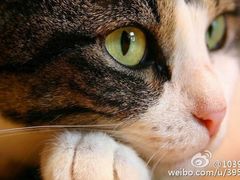 -正午照相馆·全家福·证件照·轻写真