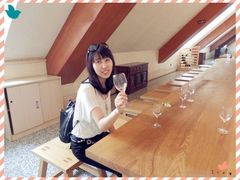 -北京张裕爱斐堡酒庄