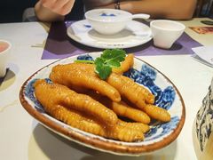-点都德·毕德寮