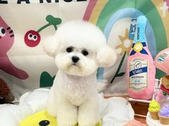 -樱桃家的宠物店(君安花园店)
