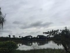 -白鹭湾湿地公园