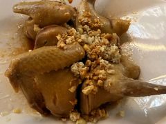 -百利鸽王(紫薇路店)