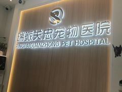 -瑞派·关忠动物医院·猫专科·犬专科(三环新城店)