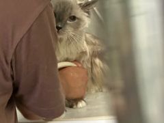 -沐沐家宠物(成寿寺店)