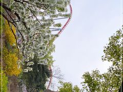 -北京欢乐谷