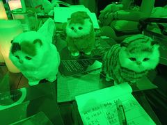 -伽利略剧本探案馆(国贸店)