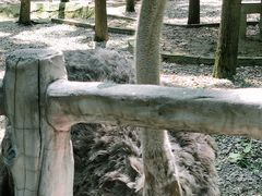 -昆山城市生态森林公园