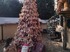 -HERRE·FARM 赫尔露营农场·团建聚会包场