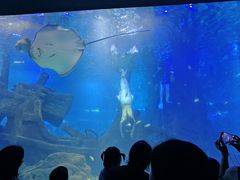 -江和美海洋公园