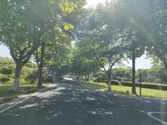-宜兴龙背山森林公园