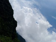 -黎坪国家森林公园