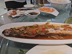 -北京紫金宫饭店