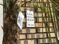 -春莱·老挝咖啡·泰式奶茶(钟楼店)