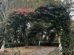 -仙岳公园