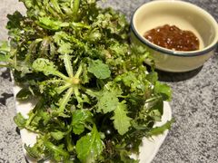 -华盛园卷子王农家菜水库鱼