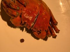 -吴越荣记苏州菜·松鼠桂鱼100%活鱼现做(月光码头店)