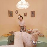 长沙萌宠集合店,一次性撸6种动物20个品种
