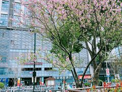 -维也纳国际酒店·苏州火车站店
