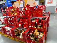 -麦德龙(闵行店)